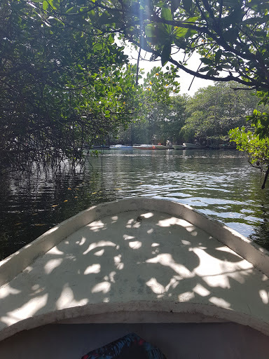 Mangrove Stop Restaurant