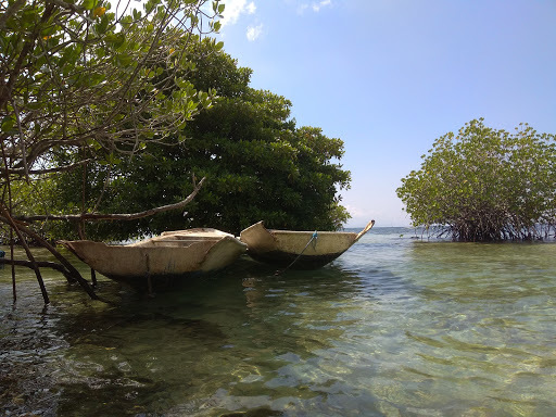 Mangrove Stop Restaurant